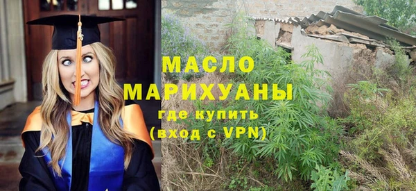 индика Лабытнанги