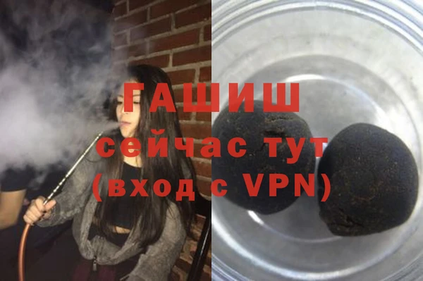 индика Лабытнанги