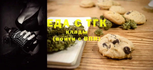 индика Лабытнанги