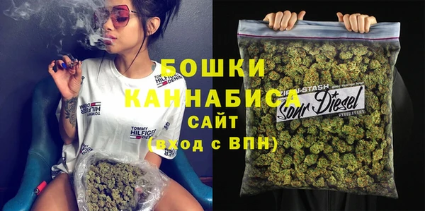 индика Лабытнанги