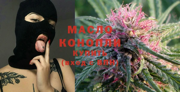 индика Лабытнанги