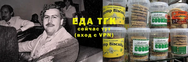 индика Лабытнанги
