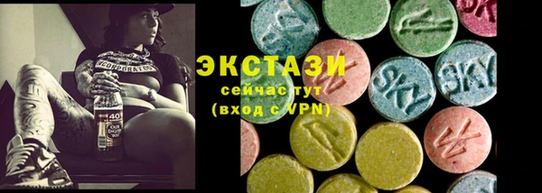 индика Лабытнанги