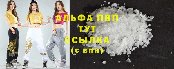индика Лабытнанги