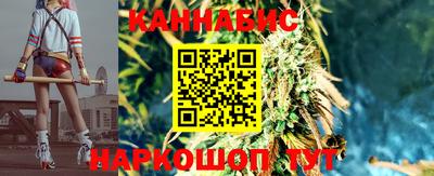 стафф Аргун