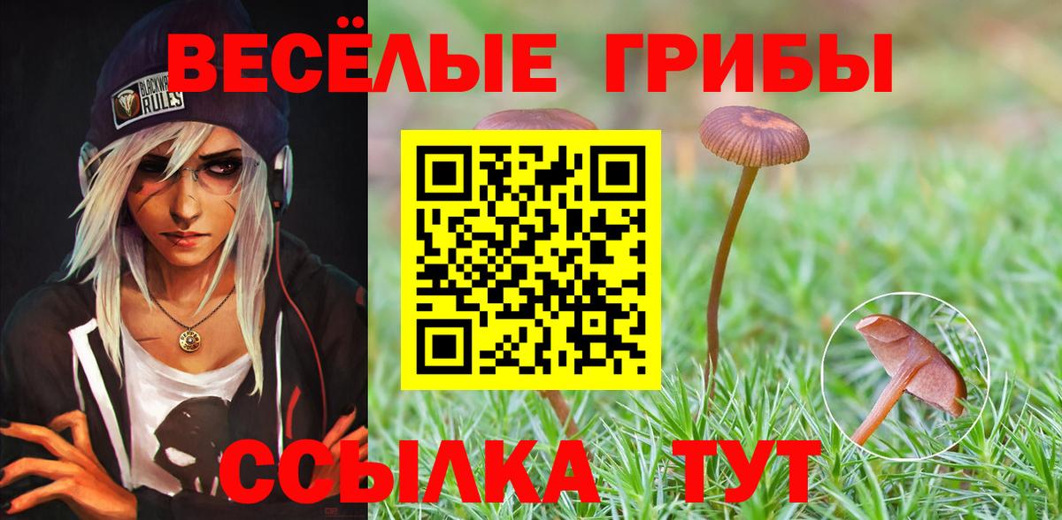 Галлюциногенные грибы GOLDEN TEACHER  Каспийск  Галлюциногенные грибы мицелий 