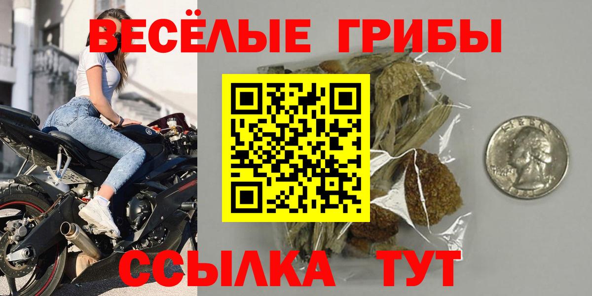 Галлюциногенные грибы Psilocybine cubensis Каспийск
