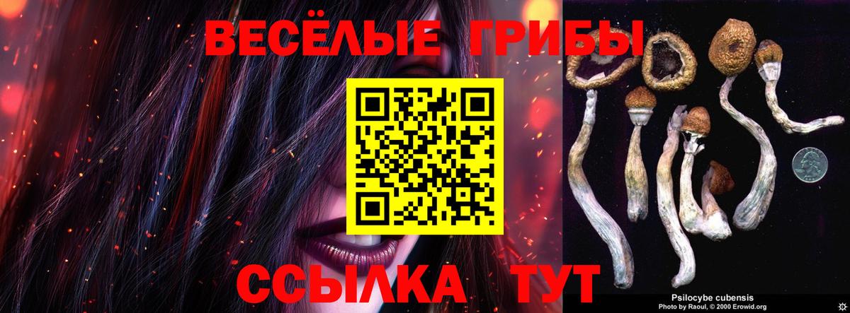 Псилоцибиновые грибы Psilocybe  Вход с VPN  Каспийск 