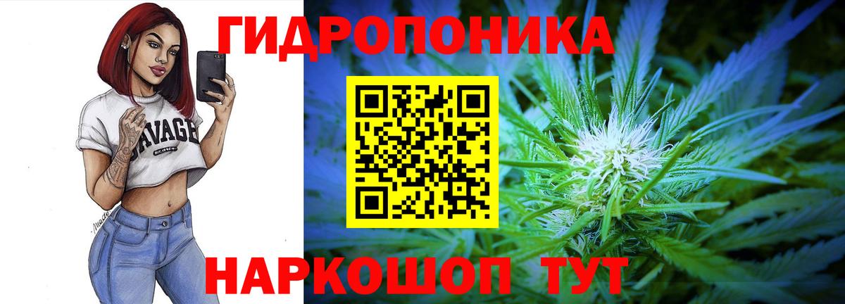 Бошки Шишки план  Бошки Шишки THC 21%  Марихуана VHQ  Шишки марихуана Amnesia  Каспийск 